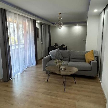 Apartament Jolie T3 Avec Parking Tuluza Zewnętrze zdjęcie